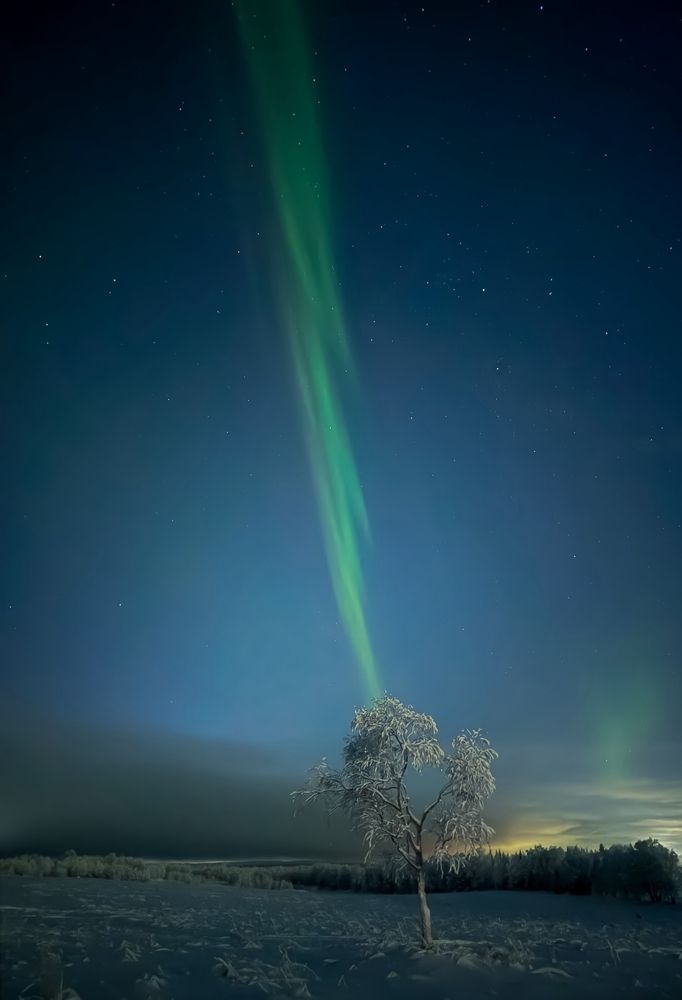 Photograph by Елизавета Нефедова