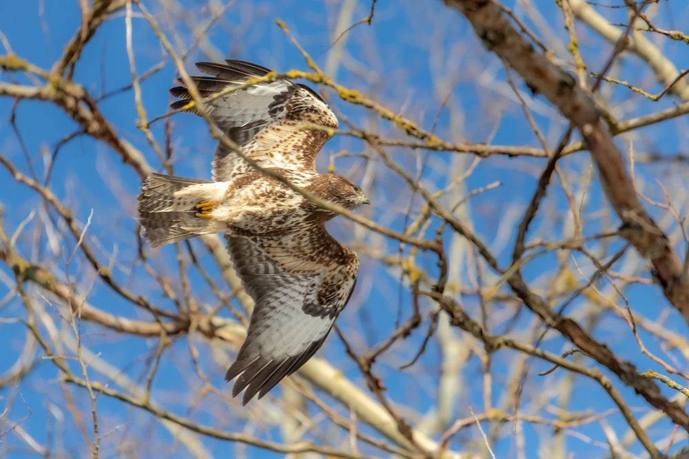 Photograph by Константин Чижов