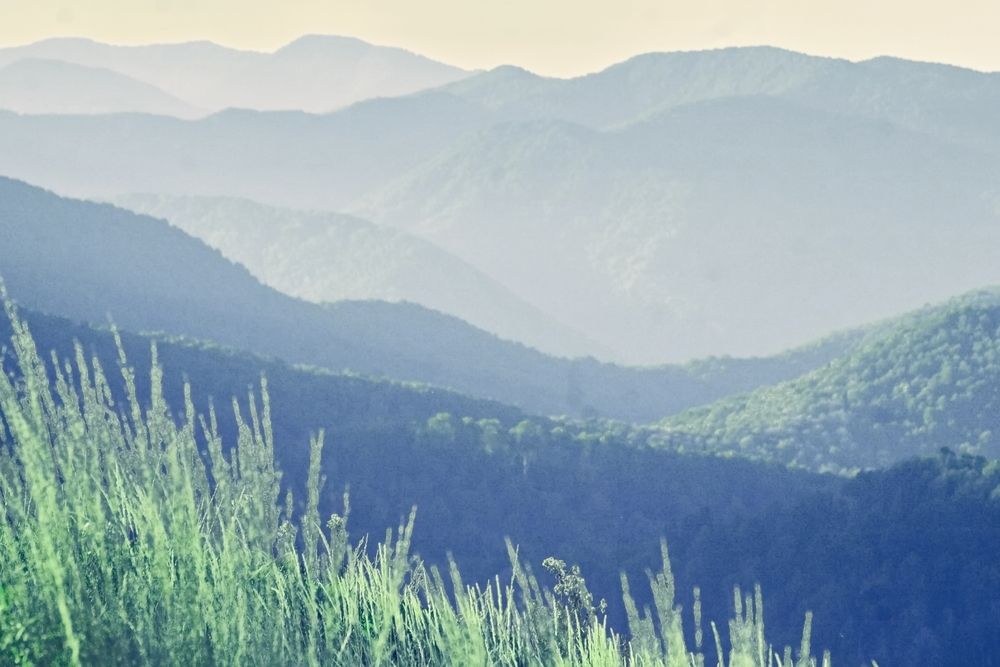 Photograph by Roman Popov