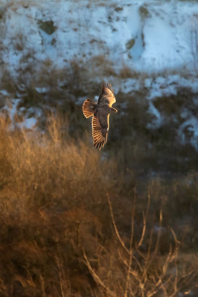 Photograph by Константин Чижов