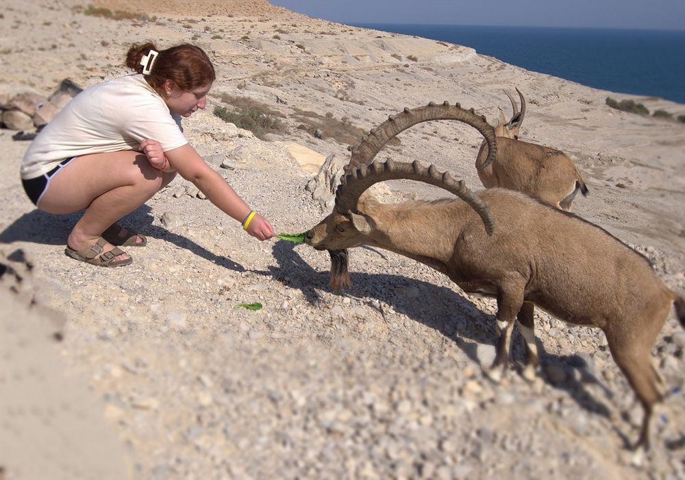 Photograph by ELLA BROD