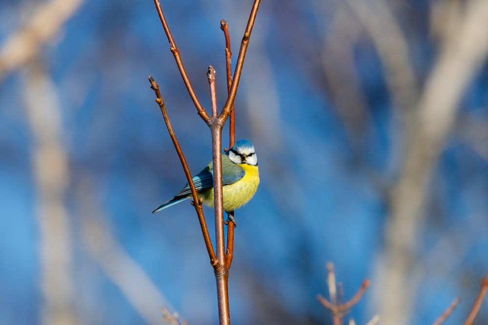 Photograph by Константин Чижов