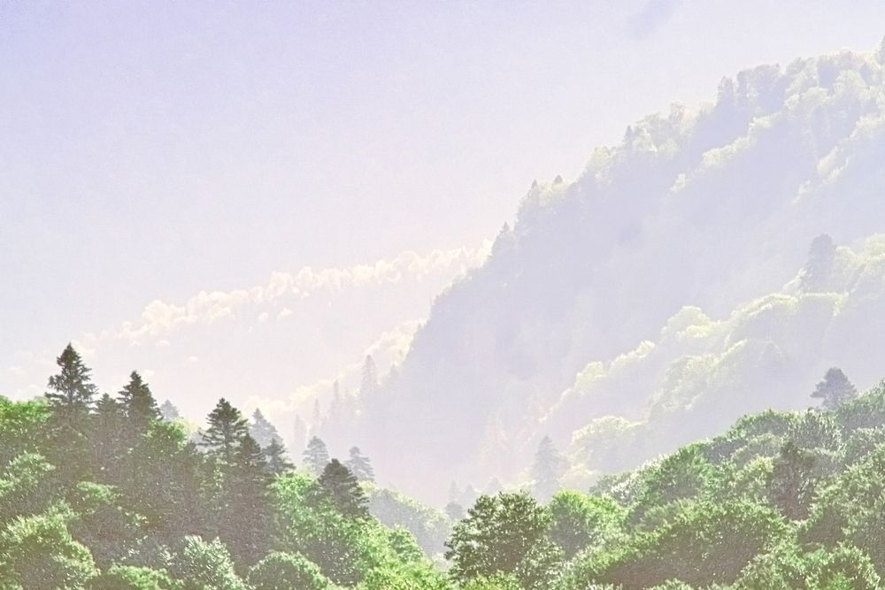 Photograph by Roman Popov