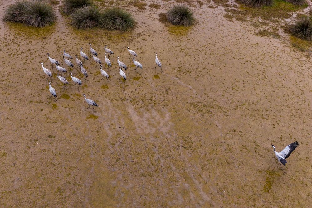 Photograph by erkan likos