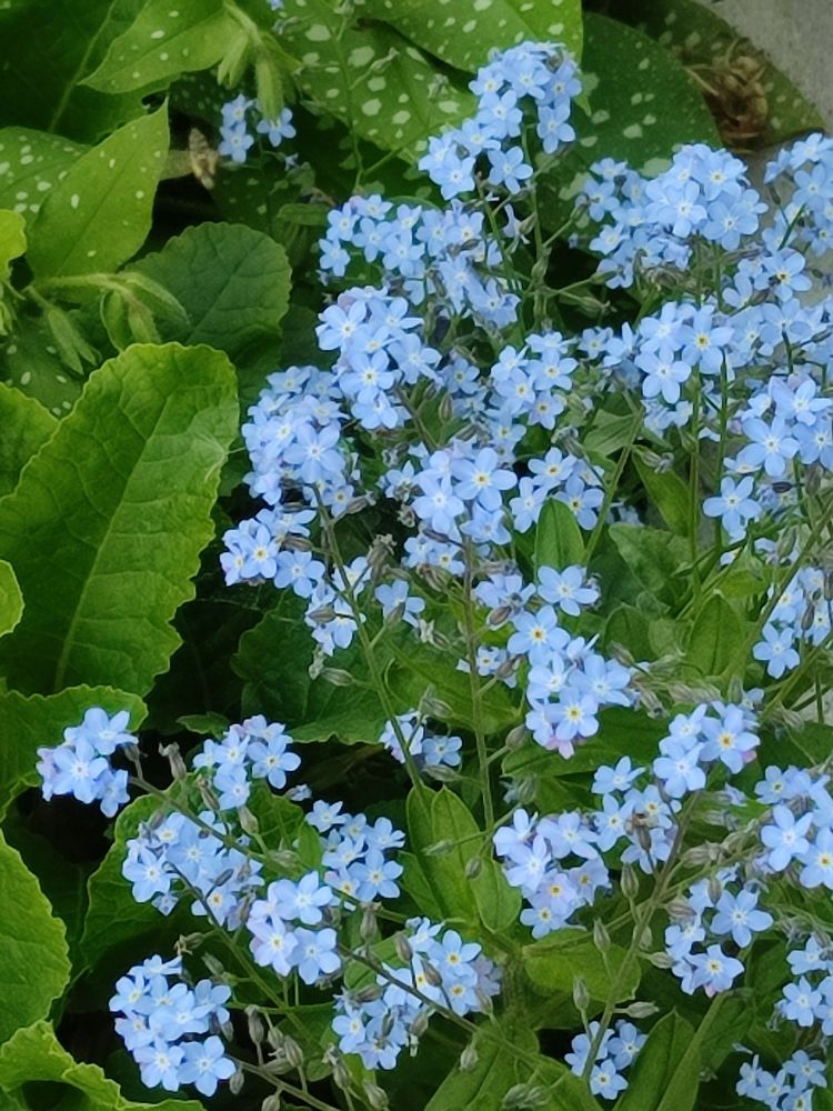 Photograph by Евгения