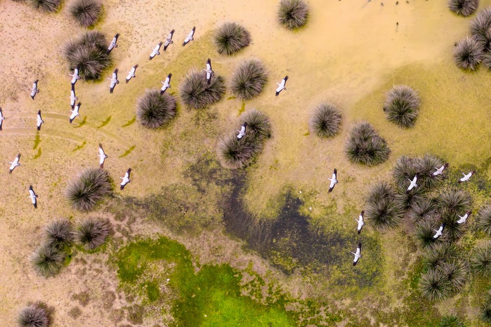 Photograph by erkan likos