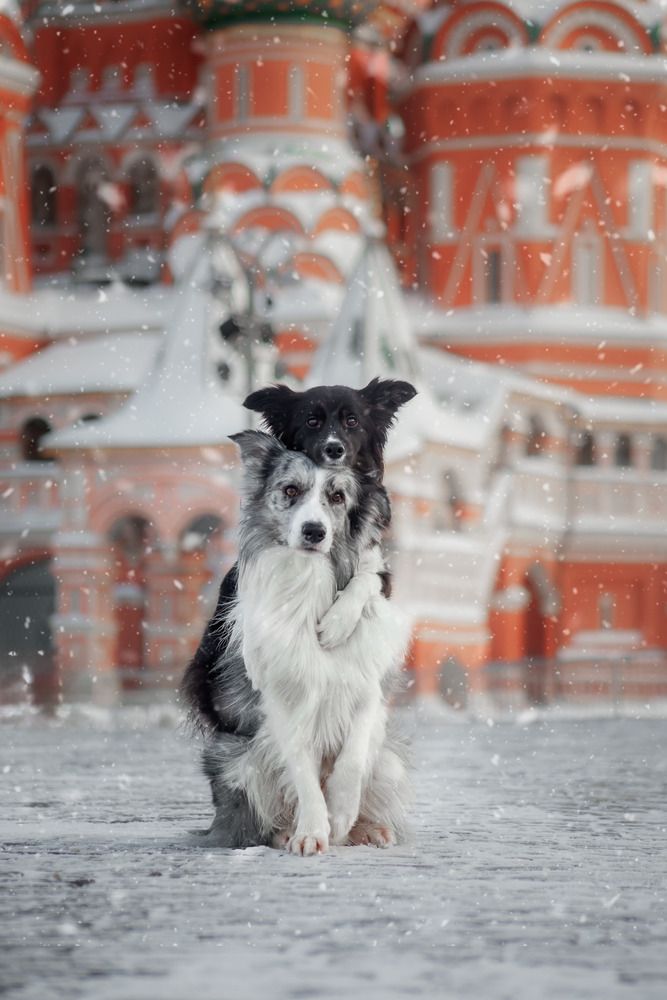 Photograph by Варя Тихонова