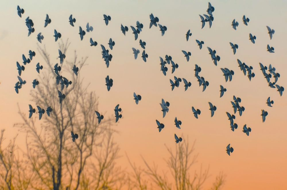 Photograph by Елизавета Нефедова