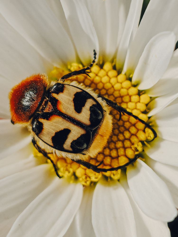 Photograph by Maria Stankevich