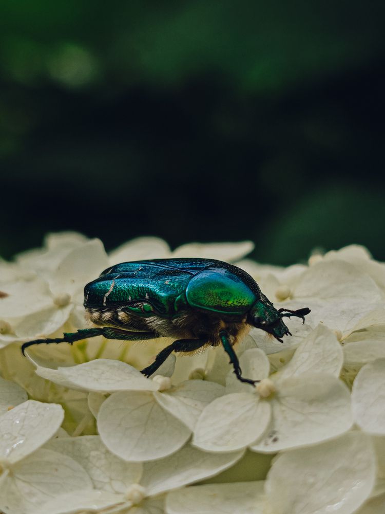 Photograph by Maria Stankevich