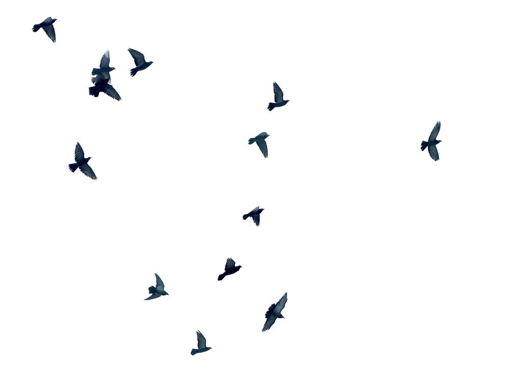 Photograph by Елизавета Нефедова