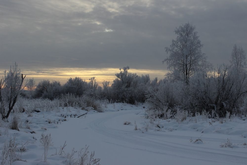 Photograph by Галина Мазур