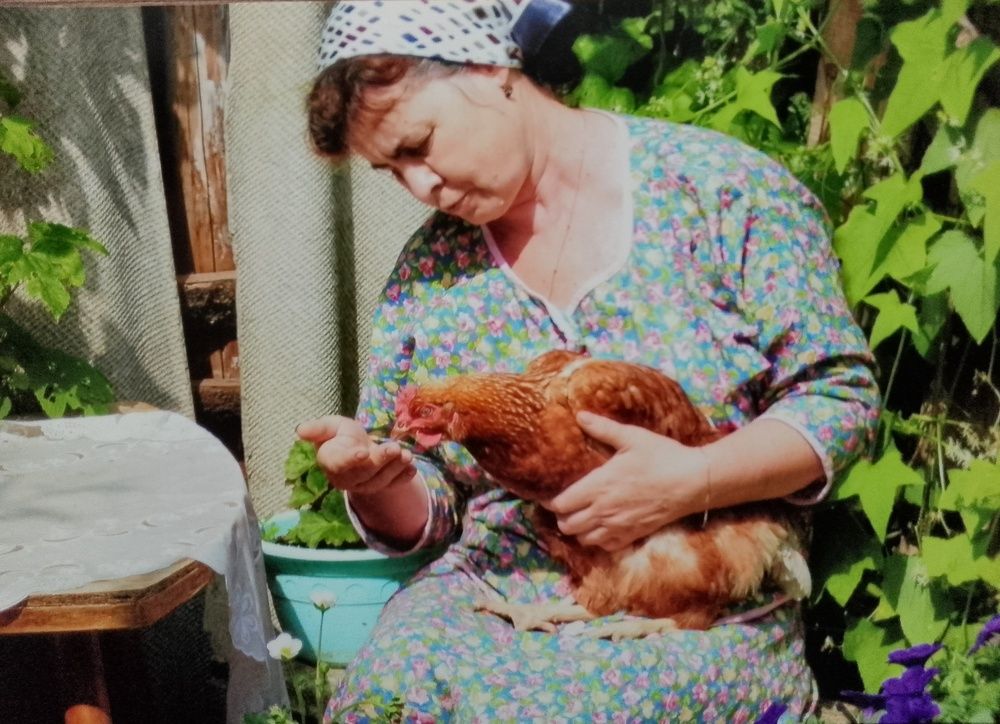 \"Курица - не птица\"