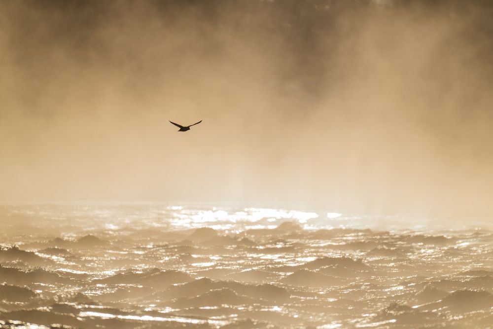 Photograph by Юрий Рыжков