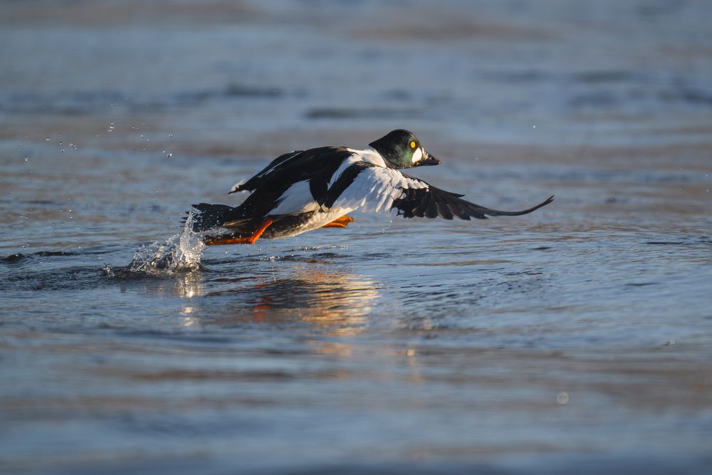 Photograph by Юрий Рыжков