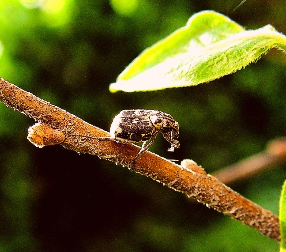 Photograph by Hvabek Kim