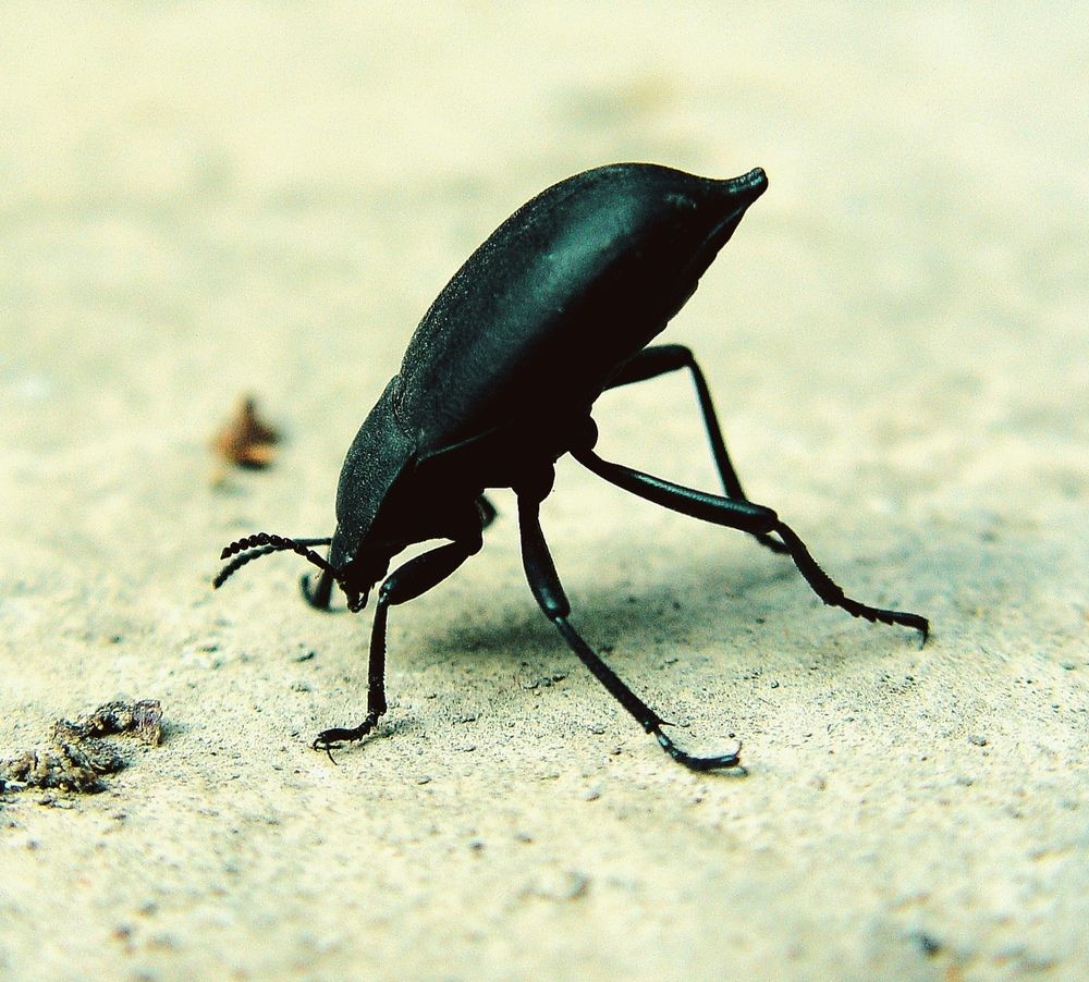 Photograph by Hvabek Kim