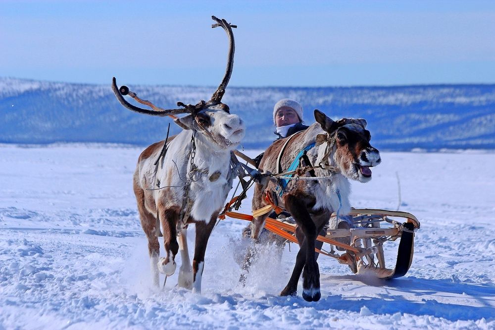 Photograph by Александр Велигура