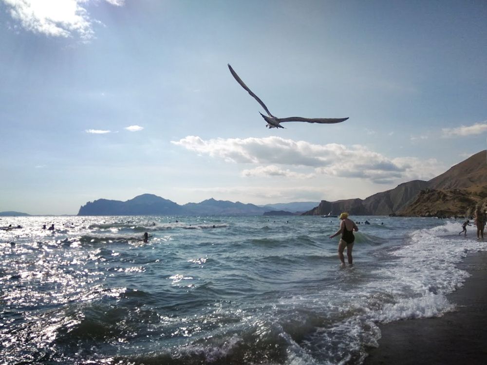 Фотография автора Алексей Трифонов