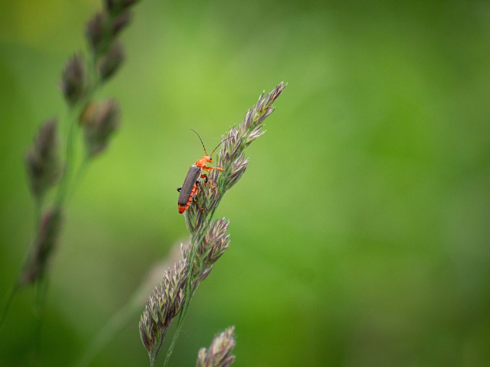 Photograph by Георгий Юркин