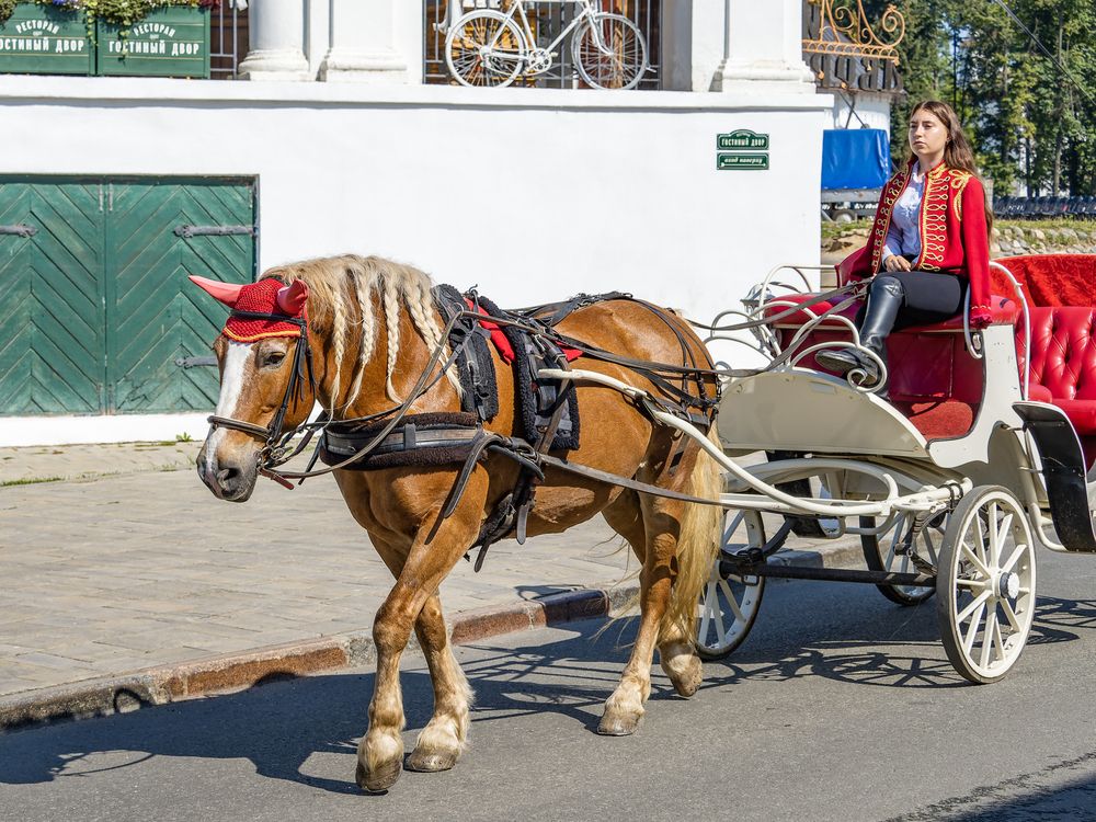 Photograph by Денис Полушин