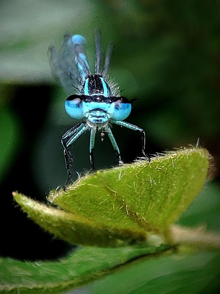Photograph by Лолита Богачева