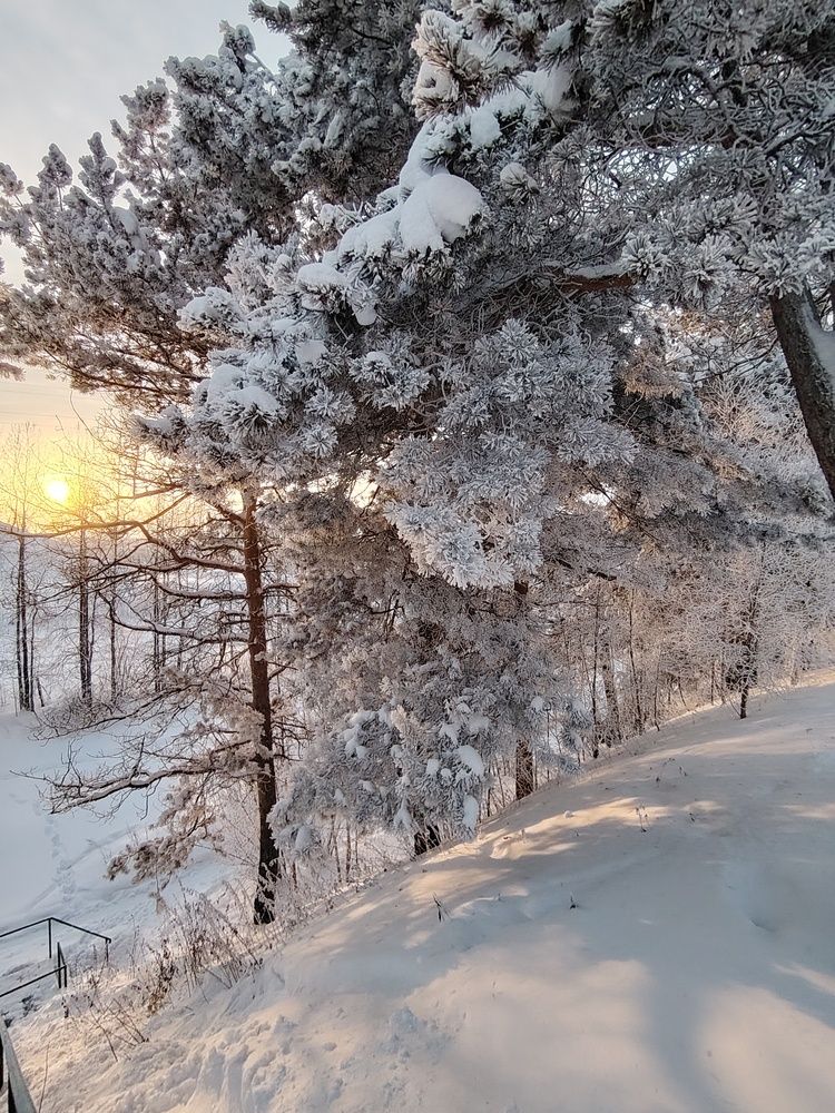 Фотография автора Виталий Са
