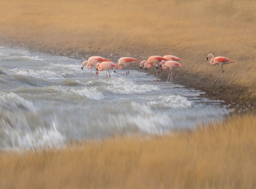 Photograph by Владимир Цветов