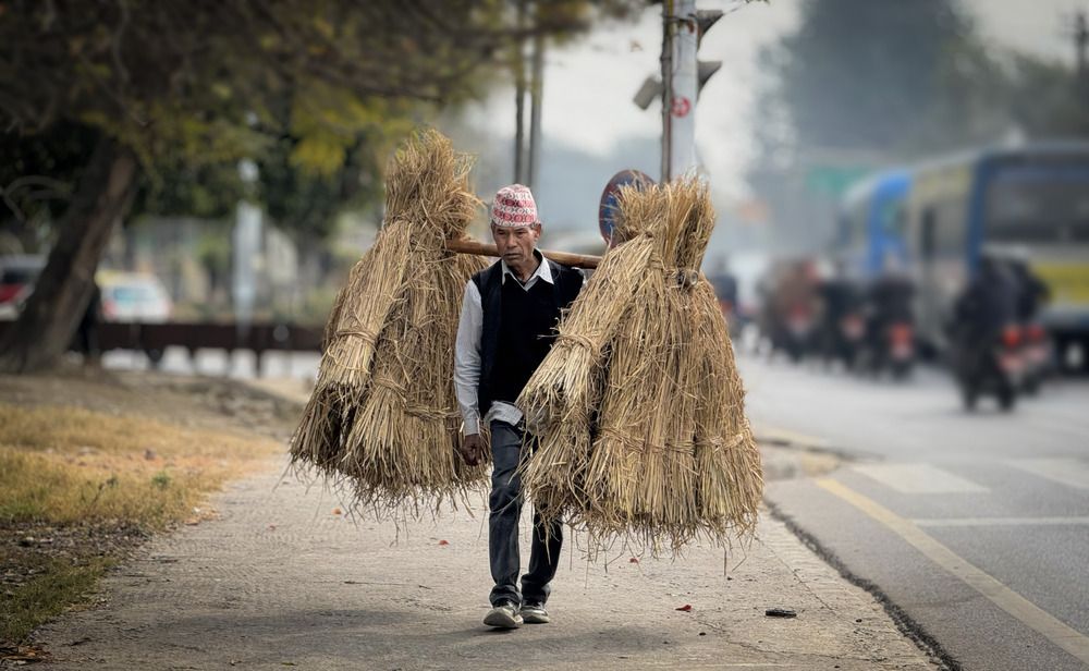 Elder Nepali