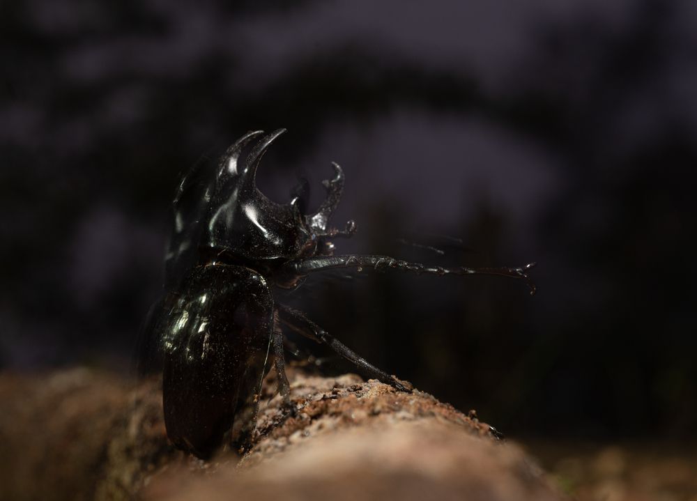 Photograph by Владимир Цветов