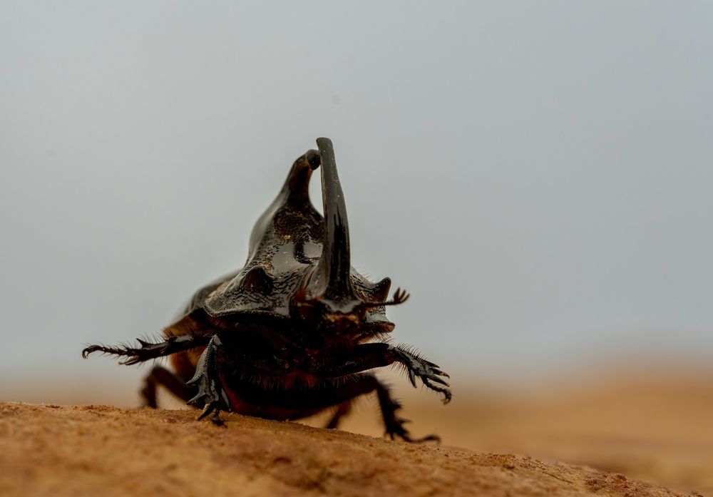 Photograph by Владимир Цветов