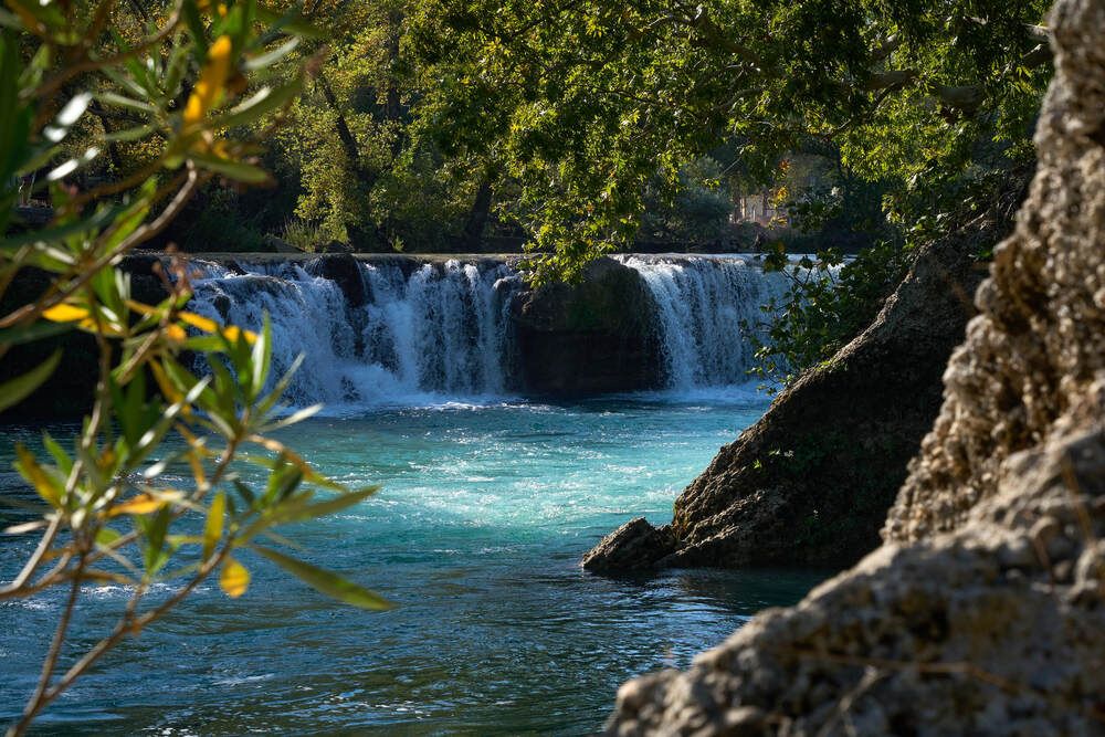 Фотография автора Dana Korolkova