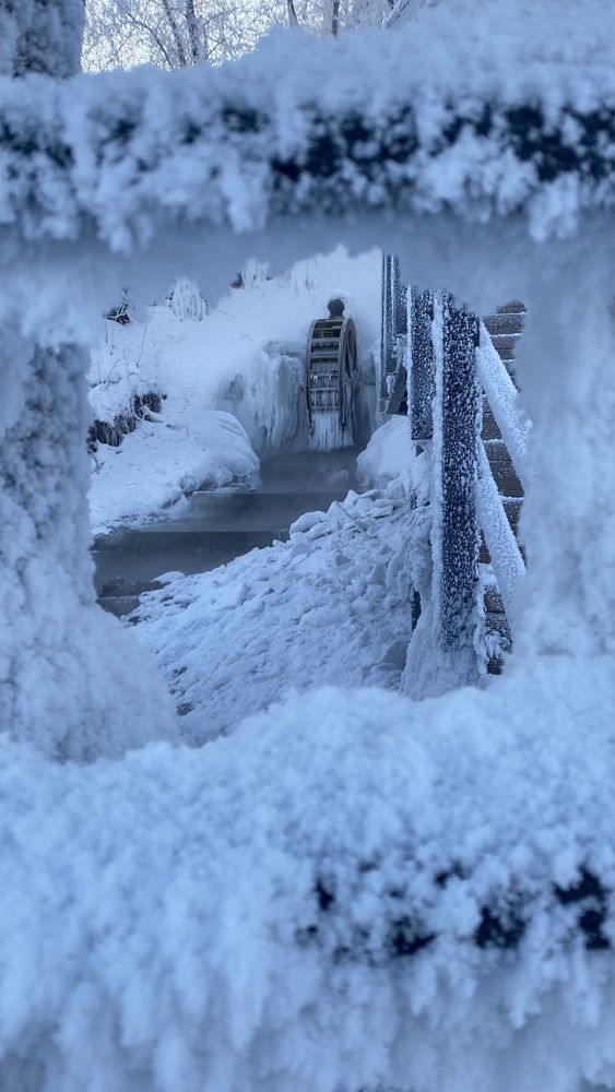 Photograph by Светлана Дмитриева