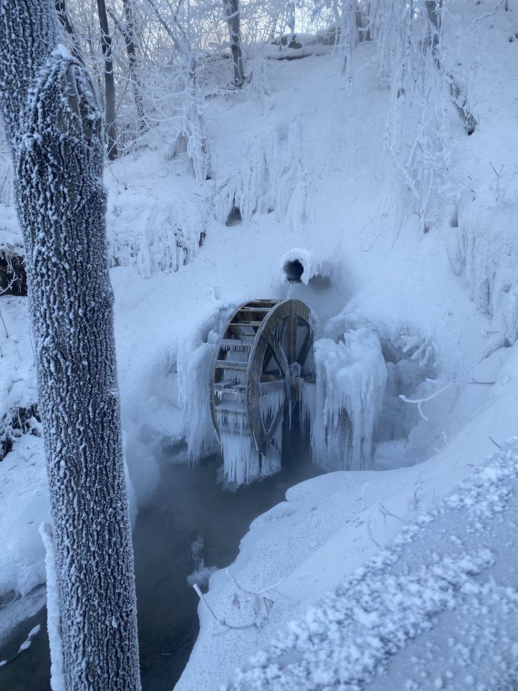 Photograph by Светлана Дмитриева