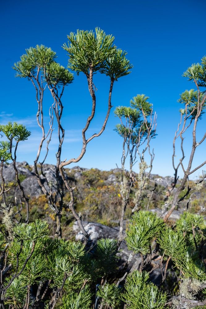 Фотография автора Татьяна