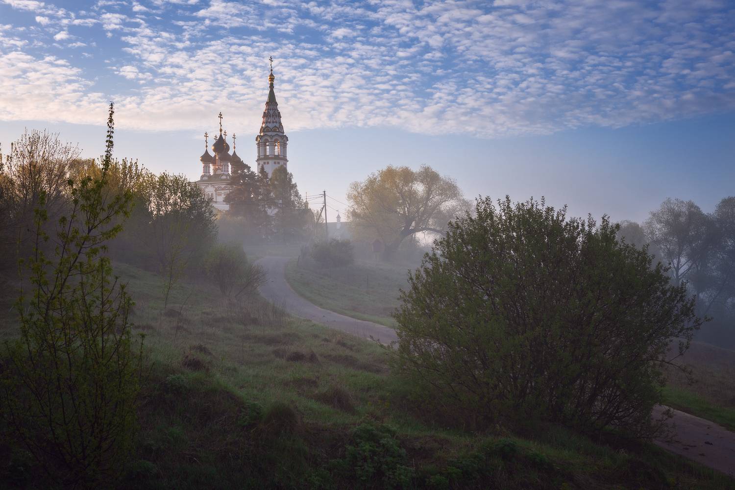 Весеннее утро