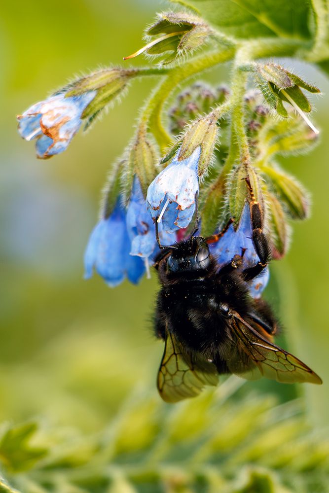 Photograph by Надежда Хрусталёва