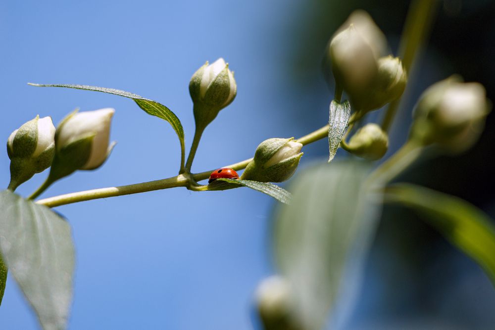 Photograph by Надежда Хрусталёва
