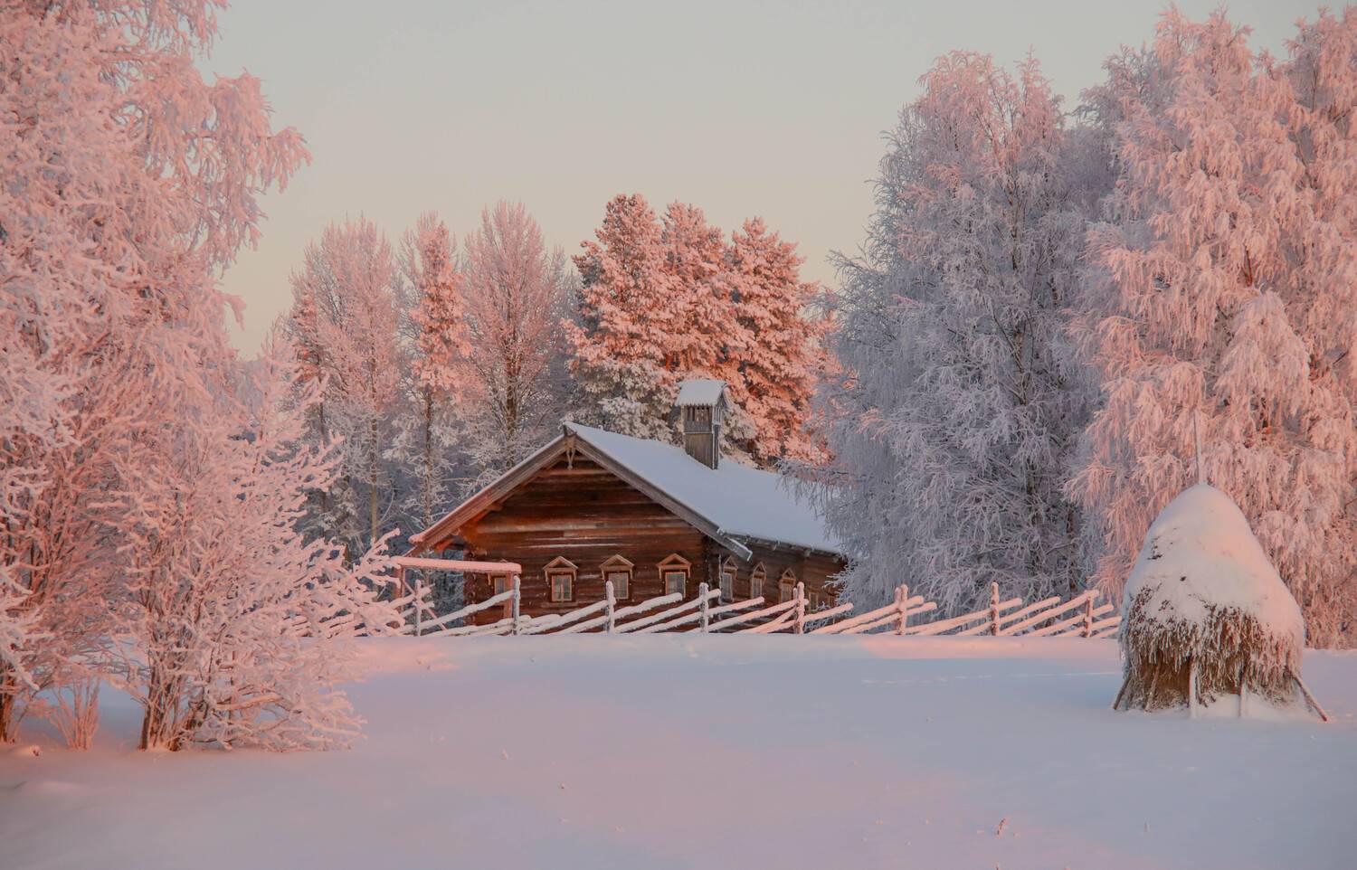Photo #13194244