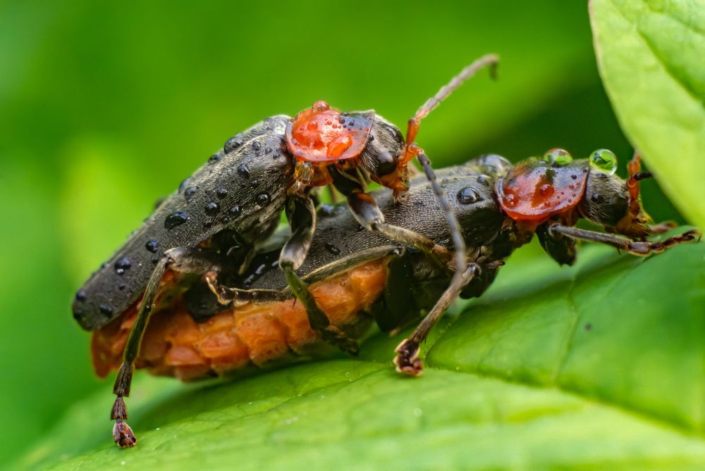 Photograph by Никита Иванов