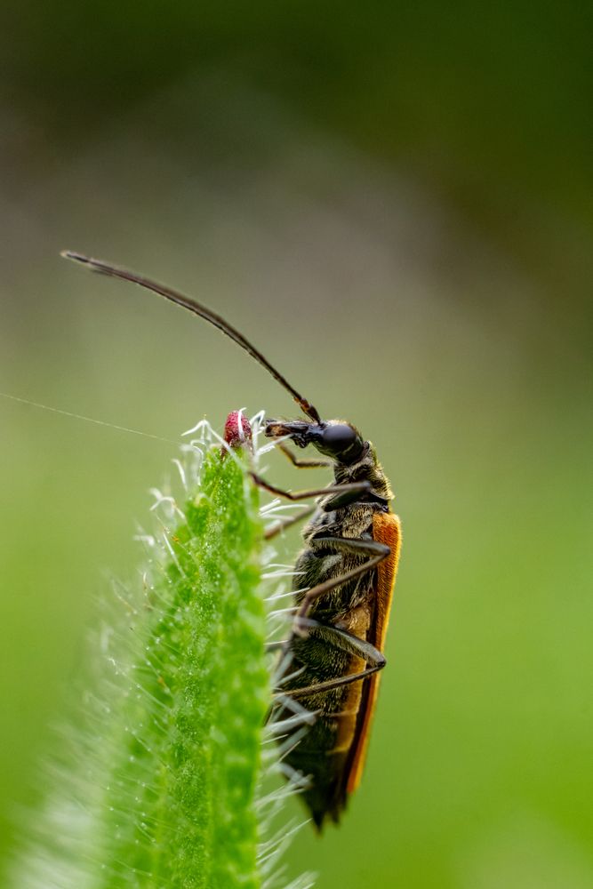 Photograph by Никита Иванов