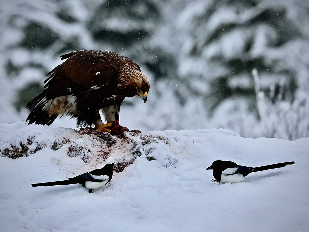 Photograph by Людмила Белякова