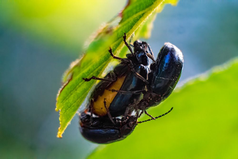 Photograph by Никита Иванов