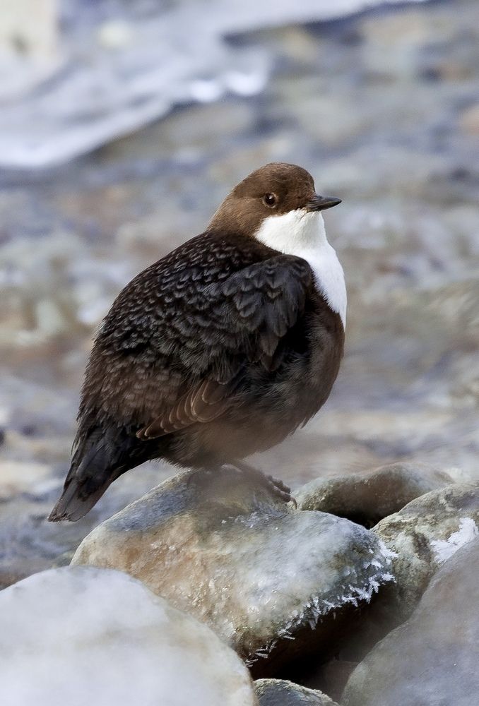 Photograph by Людмила Белякова