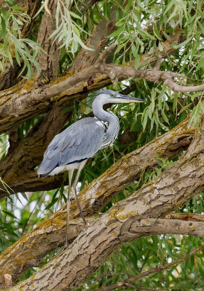 Photograph by Людмила Белякова