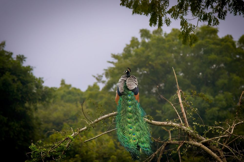 Photograph by Natalia Waurio