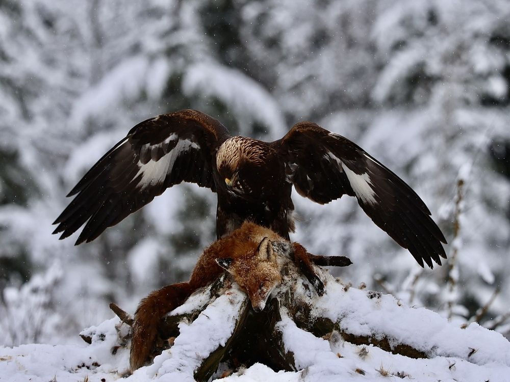 Photograph by Людмила Белякова