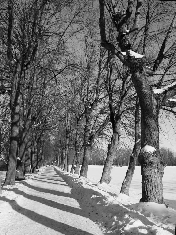 Photograph by Марианна Браун