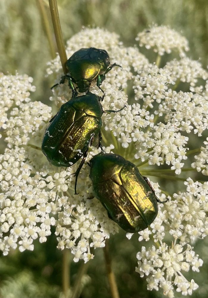 Photograph by Людмила Белякова