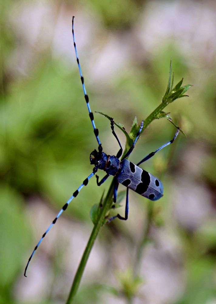 Photograph by Людмила Белякова